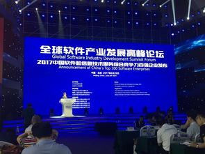 泰岳榮膺中國軟件和信息技術服務綜合競爭力百強，技術服務鑄就行業標桿