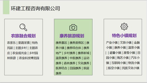 安國社會穩(wěn)定風(fēng)險評估報告 信息系統(tǒng)集成服務(wù)公司的專業(yè)能力分析